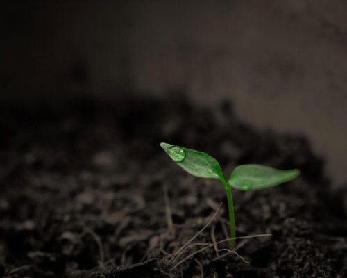 Recruitment finance, is it time for growth this year?