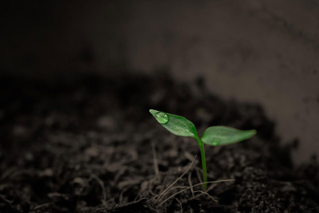 Recruitment finance, is it time for growth this year?